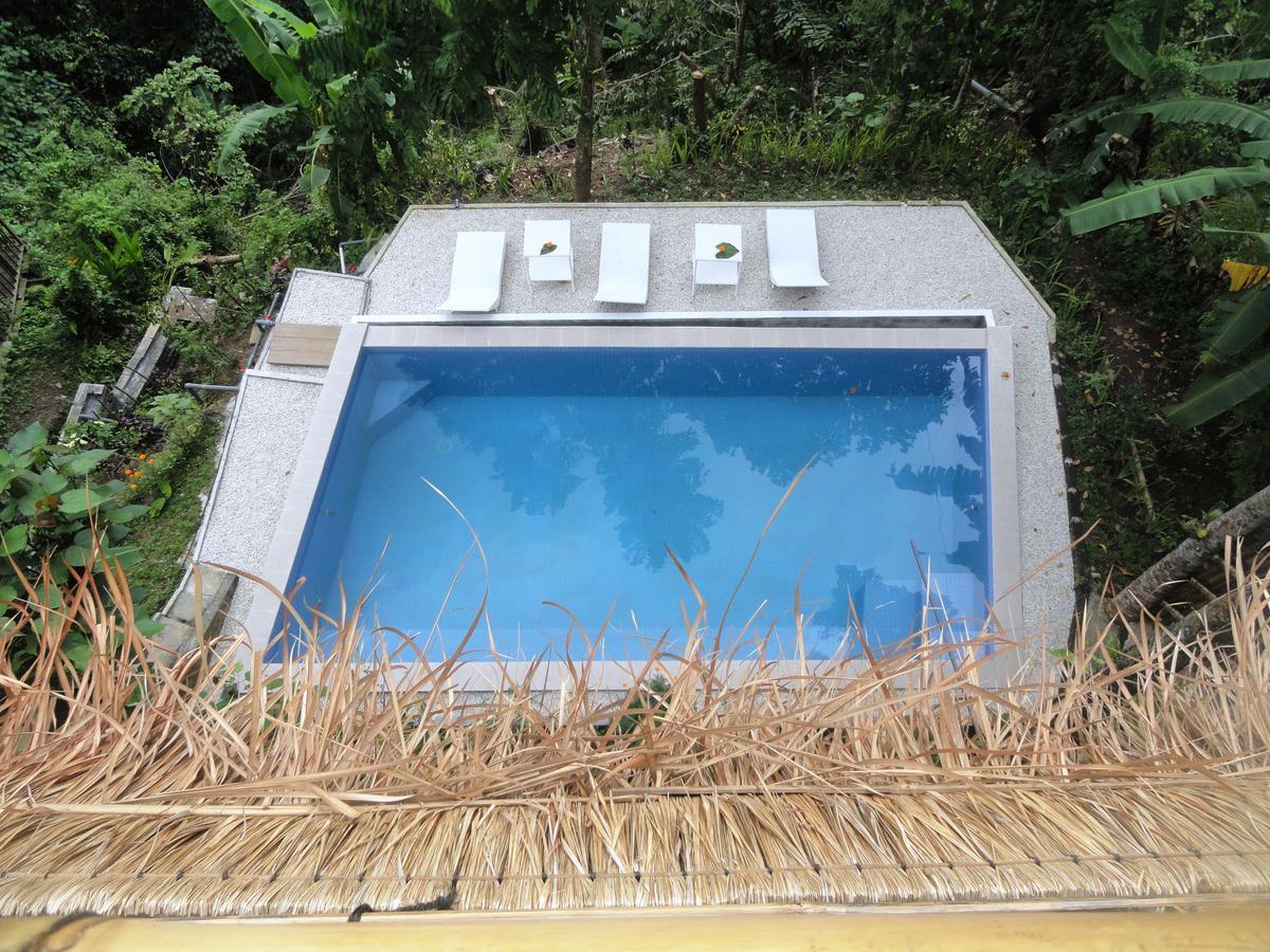 Putu Yoga Bungalow Ubud  Swimming Pool photo